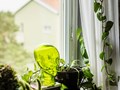 IMG_9635