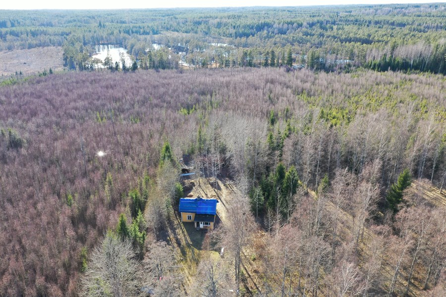 DJI_0354